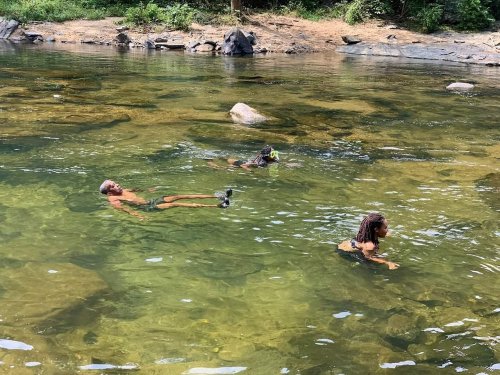 Two people swim in a clear river, with one floating on their back and a dog nearby. Lush greenery surrounds the water.