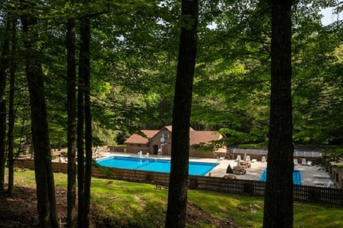 A serene outdoor pool surrounded by trees, with a wooden deck and lounge chairs in a peaceful setting.