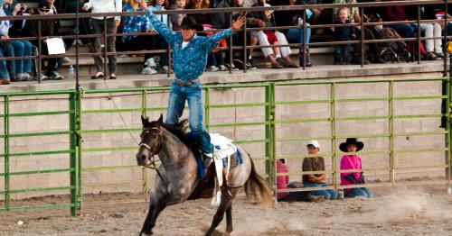 A cowboy performs a rodeo stunt on a horse, with a cheering crowd in the background.