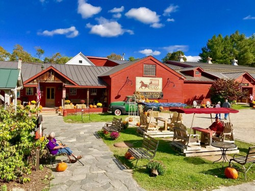 A charming red barn store with outdoor seating, pumpkins, and people enjoying a sunny day in a rural setting.