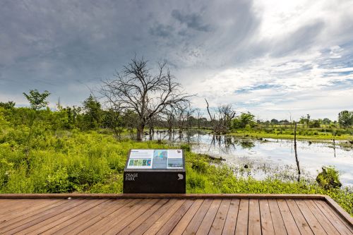 A wooden deck overlooks a wetland area with trees and greenery under a cloudy sky. An informational sign is visible.