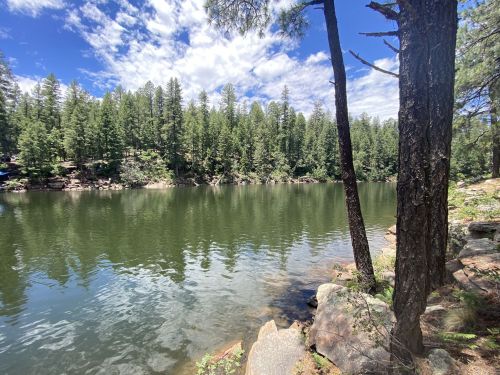 A serene lake surrounded by tall pine trees under a partly cloudy blue sky.