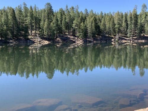 A serene lake surrounded by tall pine trees, reflecting the clear blue sky and forest in the calm water.