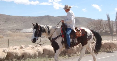 Wyoming cowboy riding a horse with the dry desert and mountains in the background.