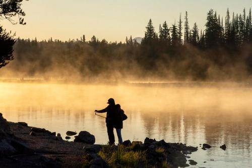A person stands by a misty lake at sunrise, surrounded by trees and soft golden light.