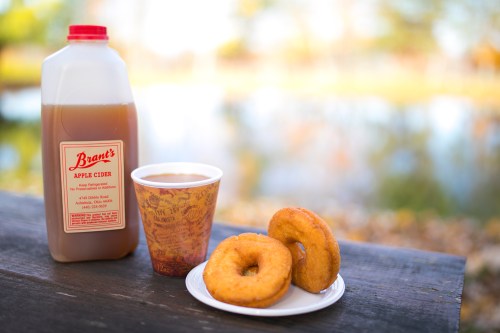 A bottle of apple cider, a cup of cider, and two donuts on a plate, set against a blurred outdoor background.