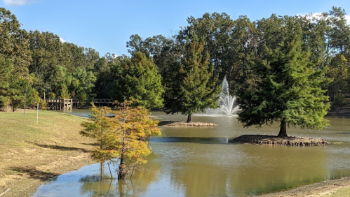 A serene pond with a fountain, surrounded by trees and grassy banks under a clear blue sky.