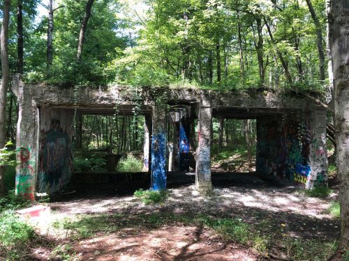 Abandoned structure in a forest, covered in graffiti and surrounded by trees and greenery.