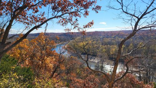 A scenic view of a river winding through autumn trees with vibrant orange and yellow leaves under a clear blue sky.