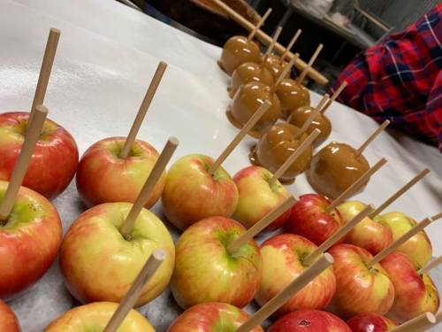 A row of red and green apples with wooden sticks, alongside caramel-coated apples on a table.