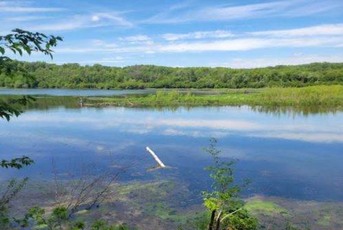 A serene lake surrounded by lush greenery and blue skies, reflecting the vibrant landscape.