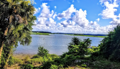 A serene river scene with lush greenery, palm trees, and fluffy clouds under a bright blue sky.