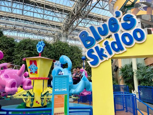 Colorful amusement ride named "Blue's Skidoo" with playful animal designs, surrounded by greenery and a bright atmosphere.