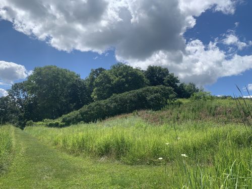 A lush green hillside under a blue sky with fluffy clouds, featuring a winding path through tall grass.