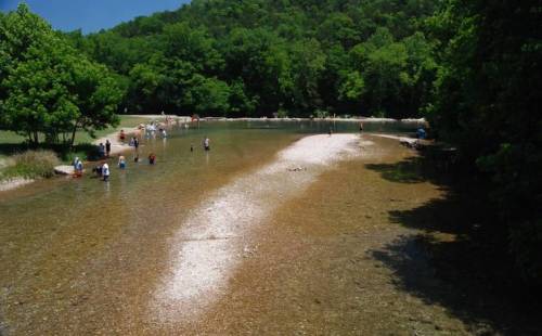 People wade in a shallow river surrounded by trees and a sandy shore on a sunny day.