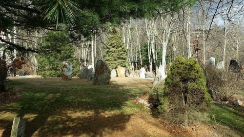 A serene outdoor scene featuring large stones scattered among trees and greenery in a natural setting.