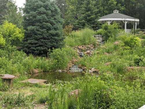 Lush garden with a pond, rocks, and a gazebo surrounded by greenery and trees.
