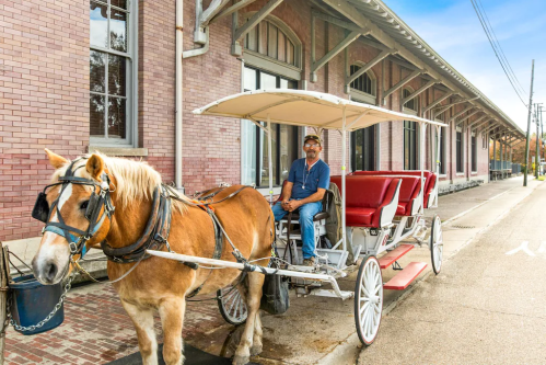A man sits in a horse-drawn carriage parked outside a historic brick building on a sunny day.