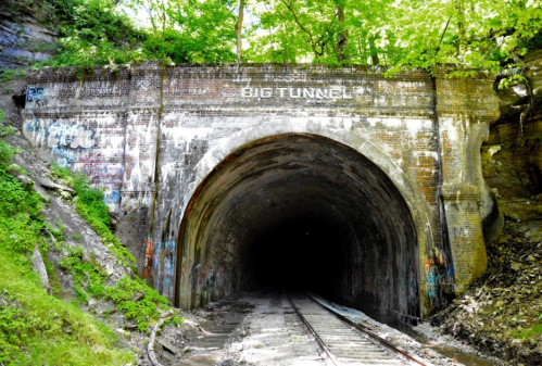A dark tunnel entrance with "BIG TUNNEL" written above, surrounded by greenery and graffiti on the brick walls.