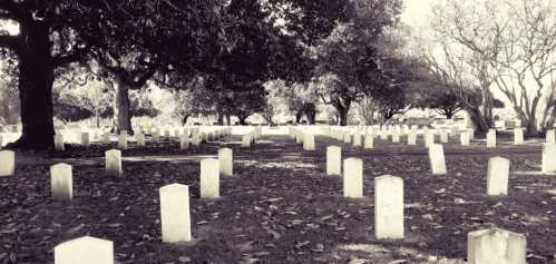 A black-and-white image of a cemetery with rows of white gravestones surrounded by trees and fallen leaves.