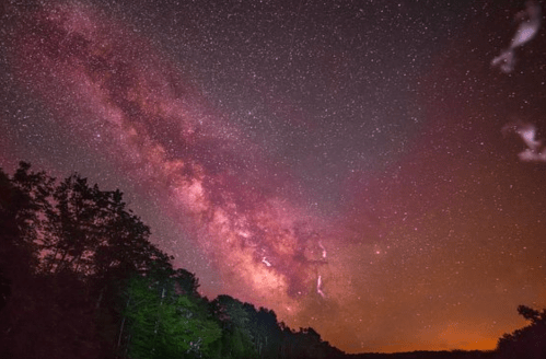 A stunning night sky filled with stars and the Milky Way, framed by dark trees and a hint of orange glow on the horizon.