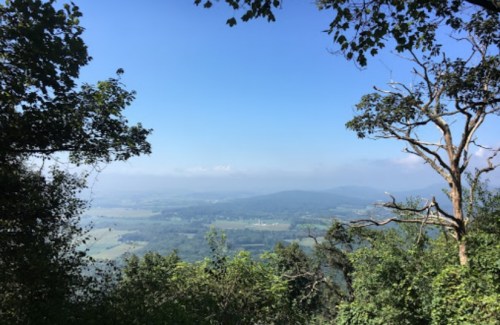 A scenic view of rolling hills and valleys under a clear blue sky, framed by trees in the foreground.