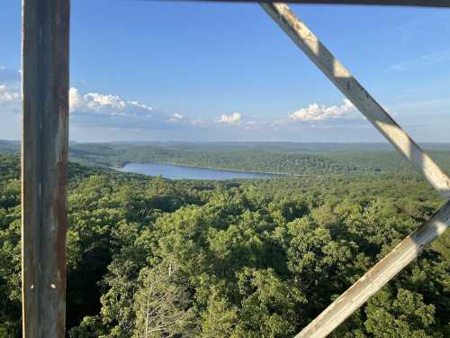 A scenic view of a lake surrounded by lush green forests, seen from a tall structure under a clear blue sky.