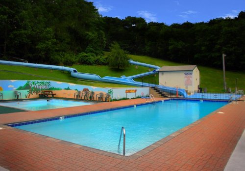 A swimming pool area with a water slide, surrounded by greenery and a mural of palm trees on the wall.