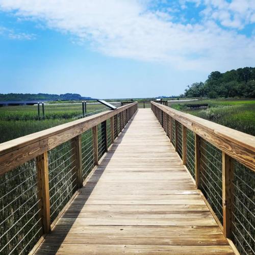 A wooden boardwalk stretches over a marsh, leading towards a serene landscape under a blue sky.