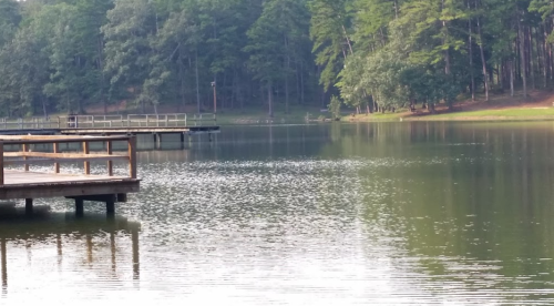 A serene lake surrounded by trees, with wooden docks extending over the calm water.