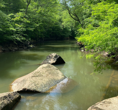 A serene river flows through a lush green forest, with large rocks partially submerged in the water.