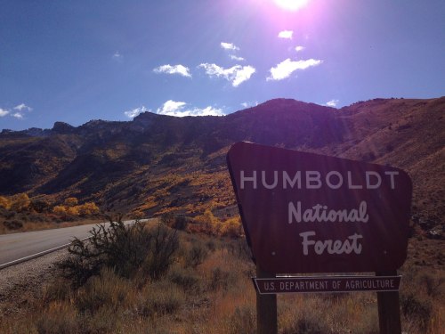 Sign for Humboldt National Forest with mountains and blue sky in the background, showcasing autumn foliage.