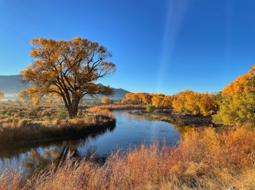 A serene river scene with vibrant autumn trees and a clear blue sky, reflecting the colors of fall.