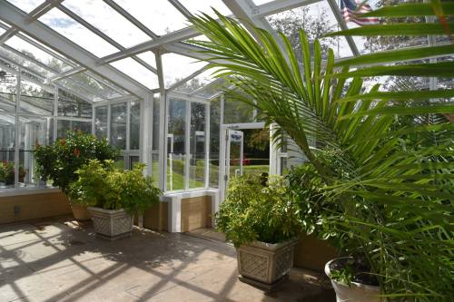 A bright greenhouse filled with lush green plants and large windows, showcasing a vibrant outdoor garden.