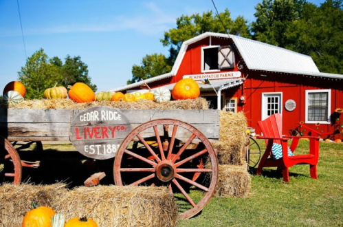A rustic wooden cart filled with pumpkins and hay bales in front of a red barn with a white roof.