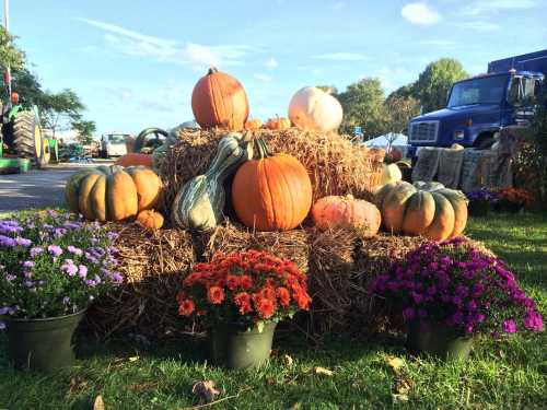 A display of pumpkins and gourds on hay bales, surrounded by colorful flowers in pots.