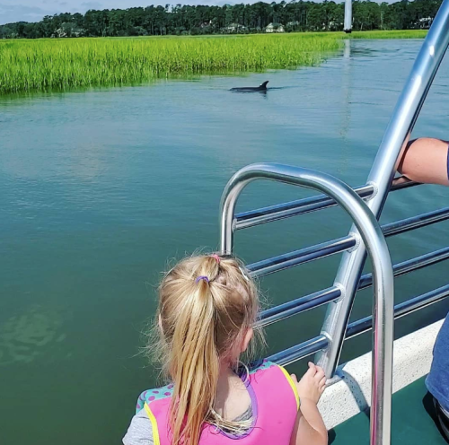 A child in a life jacket watches a dolphin swimming in a calm waterway surrounded by green grass.