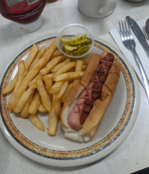 A plate with a grilled hot dog in a bun, served with a side of crispy French fries and a small cup of pickles.