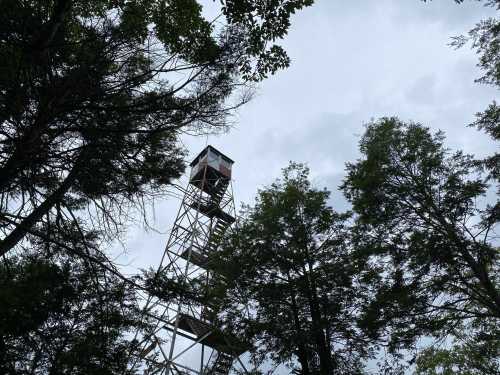 A tall fire lookout tower rises above dense trees under a cloudy sky.