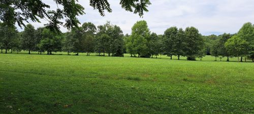 Lush green field surrounded by trees under a cloudy sky, creating a serene natural landscape.