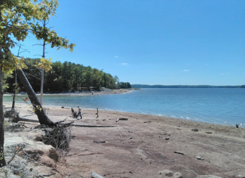 A serene lakeside view with a sandy shore, trees, and a clear blue sky, featuring a person walking along the water's edge.