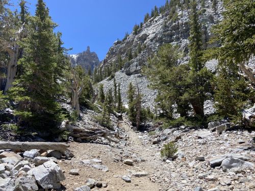 A rocky trail winds through a mountainous landscape, surrounded by trees and steep rocky cliffs under a clear blue sky.