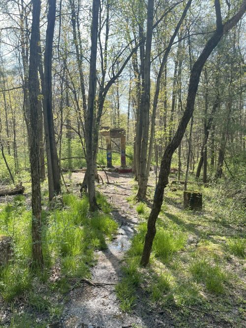 A serene forest scene with tall trees and a stone structure partially hidden among greenery and sunlight.