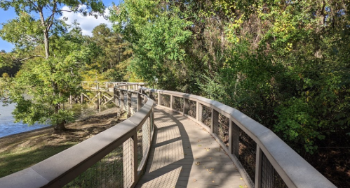 A winding wooden path along a river, surrounded by lush green trees and foliage under a partly cloudy sky.