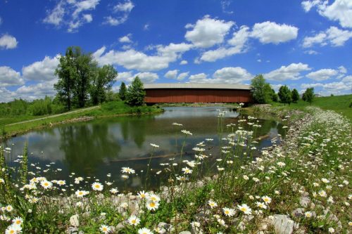 A scenic view of a covered bridge over a calm pond, surrounded by green trees and blooming daisies under a blue sky.