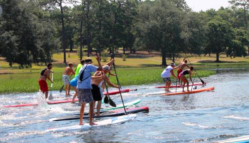 A group of people paddleboarding on a calm lake surrounded by greenery on a sunny day.