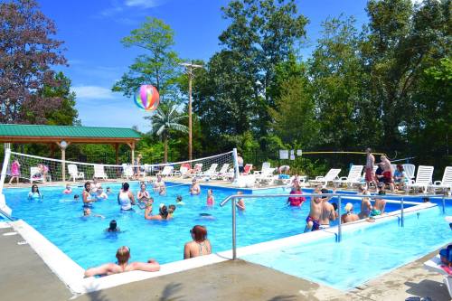 A lively outdoor pool scene with people swimming, playing, and lounging under a clear blue sky.