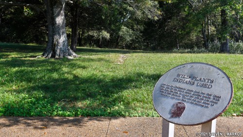 A sign about wild plants used by Indigenous peoples, with a grassy area and trees in the background.