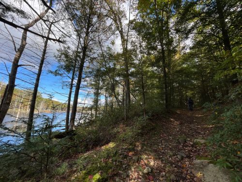 A serene forest path alongside a lake, with trees and a clear blue sky in the background. Two hikers are visible.