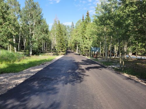 A newly paved road surrounded by tall trees and greenery under a clear blue sky.